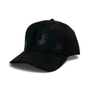 UNASHAMED Star Hat